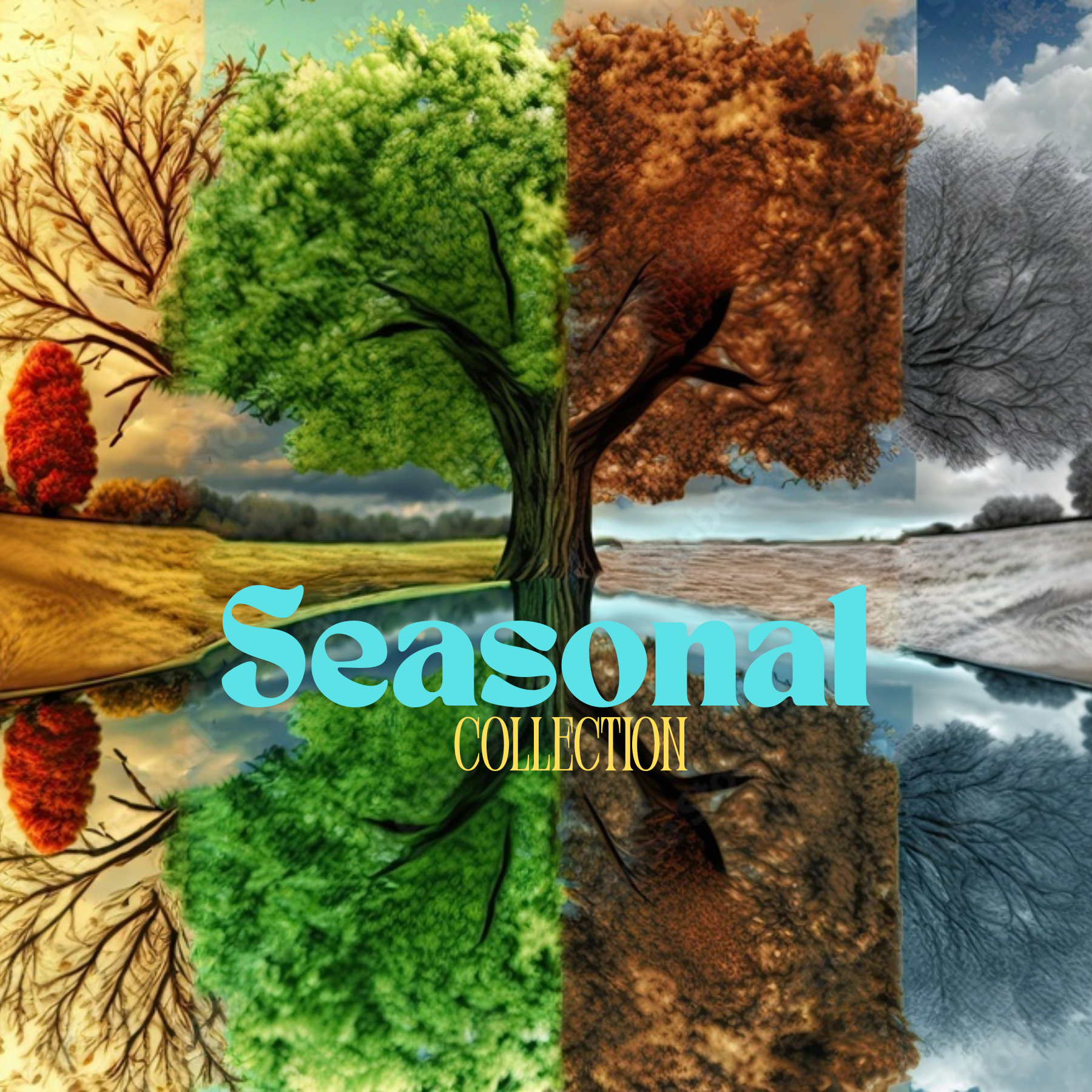 Seasonal Collection
